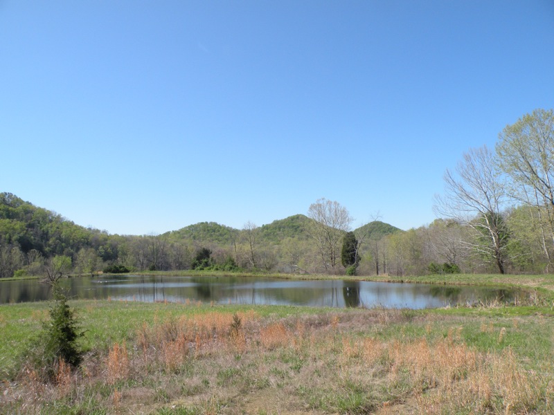 Lakeview Trail